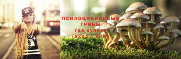 spice Бронницы