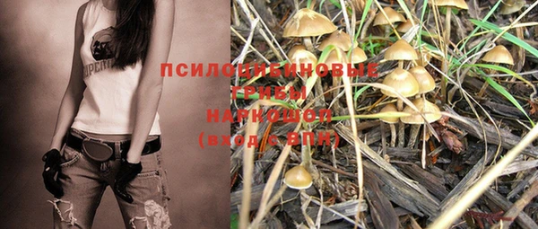 гашик Бугульма