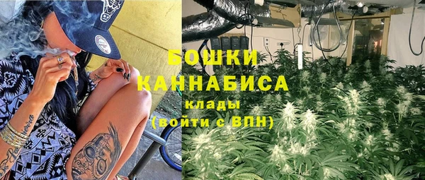 кокс Бородино