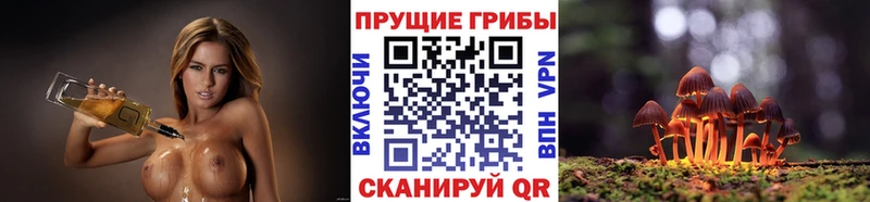 Галлюциногенные грибы мухоморы  хочу наркоту  Дзержинск 